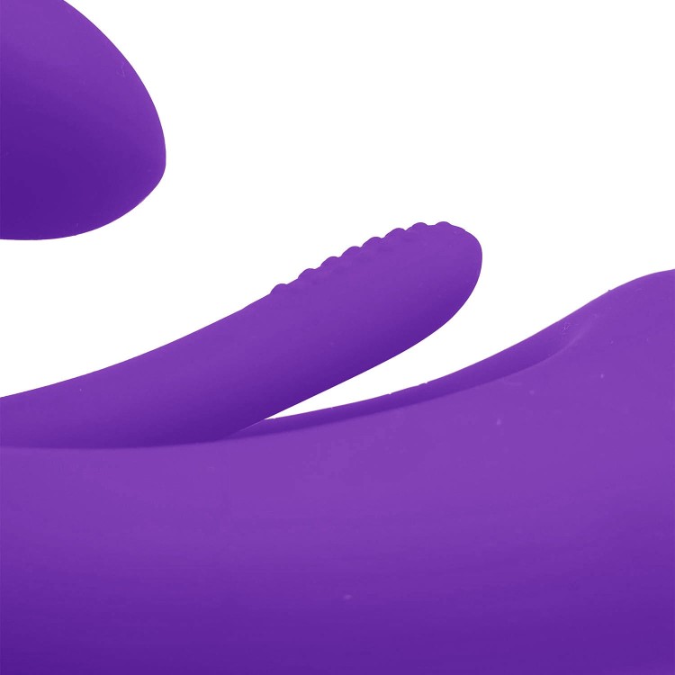 37808_62622