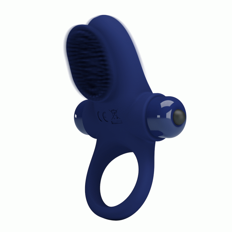 05-1681_06.gif