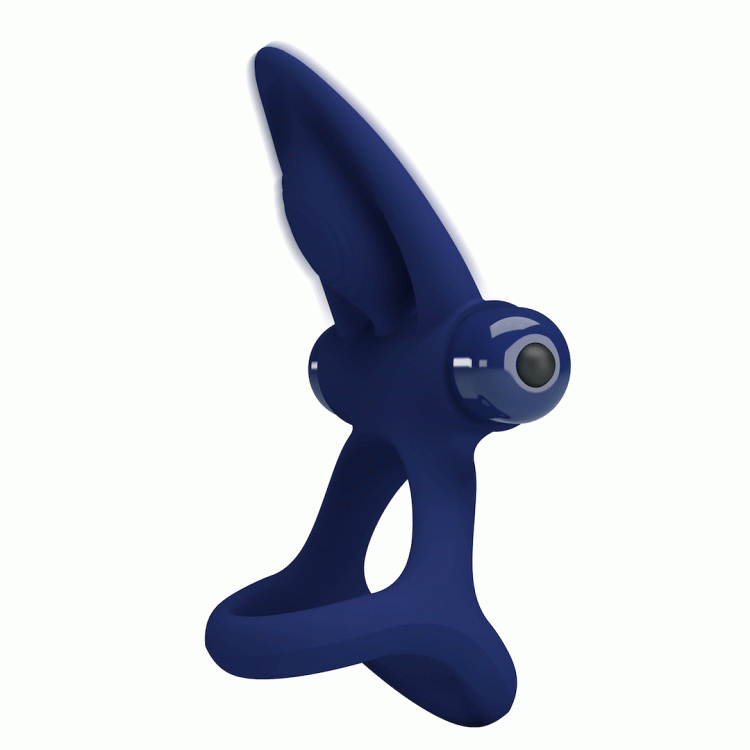 05-1688_04.gif