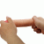 05-1596_6.gif