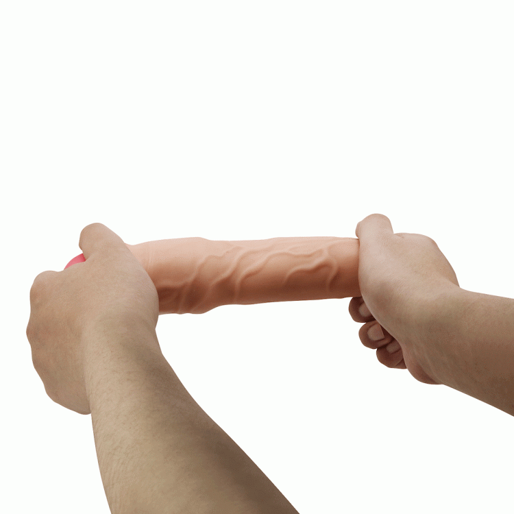 05-1600_6.gif