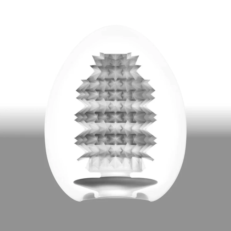 337806_8.jpg