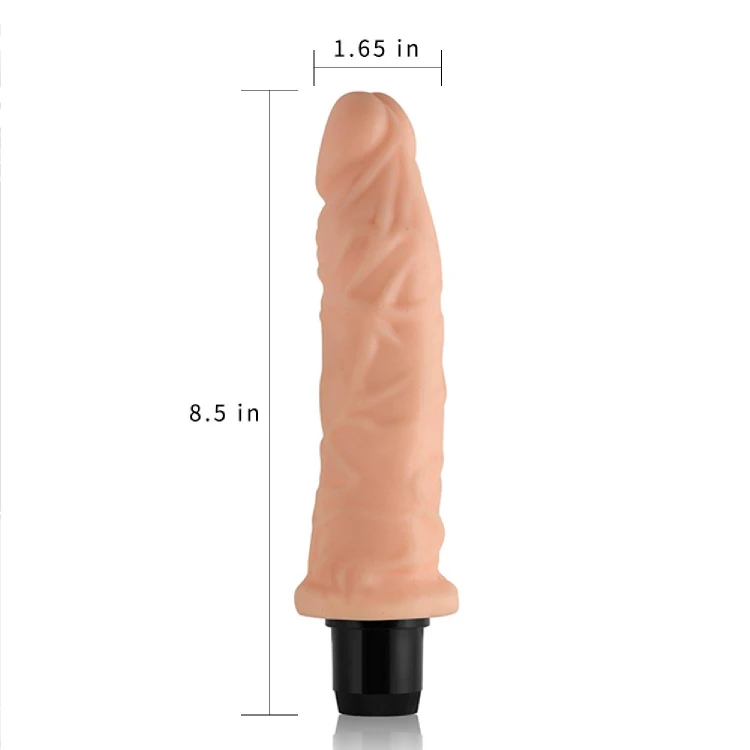 10-LV1003_5.jpg