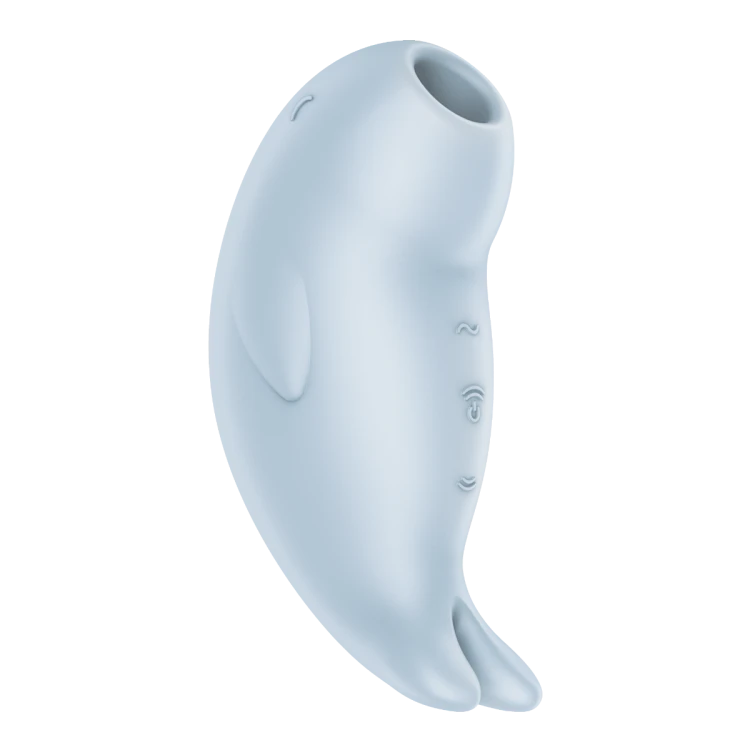 13245_1.png