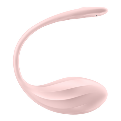 14173_1.png