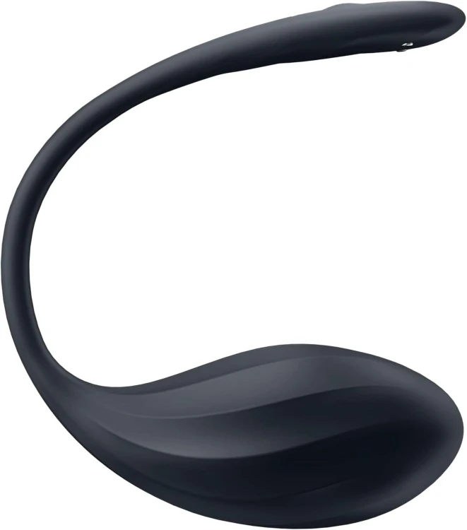 337006_1.jpg
