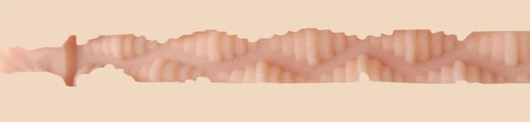 7508_2.jpg