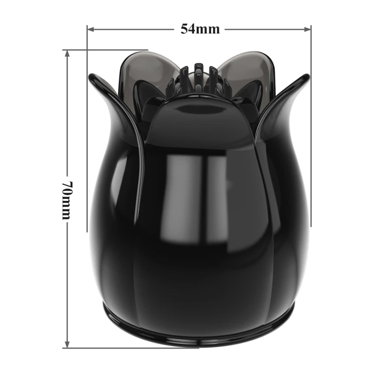 BI-300005_08.jpg