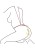 30-17186-X-GOLD_04.jpg